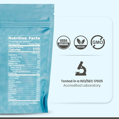 Cantein Organic Hemp Protein Powder | Vegan Protein Powder for Protein Shake | 28g