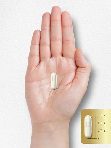 Carlyle Acetyl L-Carnitine HCL Capsules| 1000mg | 100 Count | Non-GMO and Gluten Free