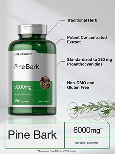 Pine Bark Extract | 6000 mg | 180 Capsules | Standardized to Contain 380 mg Proanthocyan