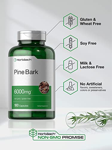 Pine Bark Extract | 6000 mg | 180 Capsules | Standardized to Contain 380 mg Proanthocyan