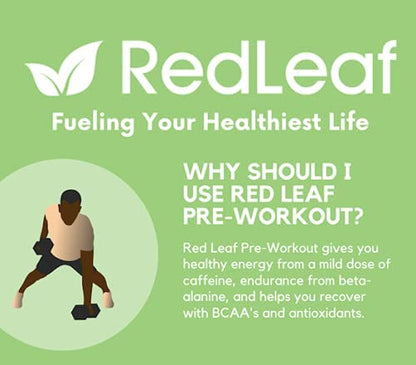 Red Leaf Pre Workout Energizer Powder, BCAA's, Beta-Alanine, Amino Acids and Green Tea