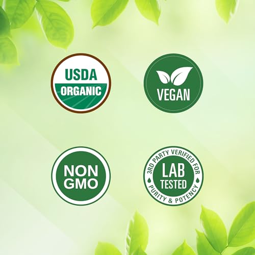 Super Greens Daily Greens Superfood Powder - Certified USDA Organic Green Powder