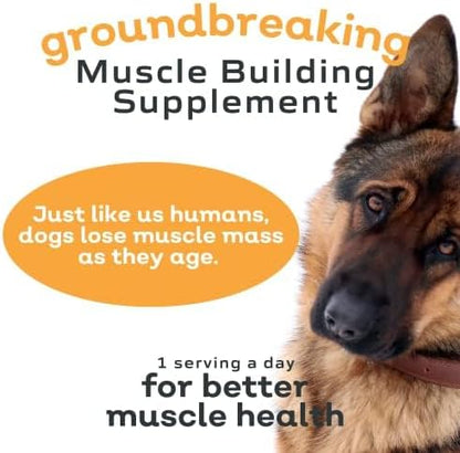 Powered by Fortetropin All-Natural Dog Muscle Builder and Mobility Support Supplement for Strength and Recovery - Helps Reduce Muscle Loss Due to Normal Aging, 360g