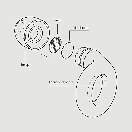 Loop Experience Ear Plugs for Concerts – High Fidelity Hearing Protection
