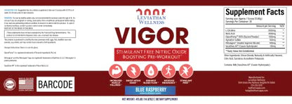 Leviathan Wellness Vigor - Stimulant Free, Nitric Oxide Boosting Pre-Workout Powder