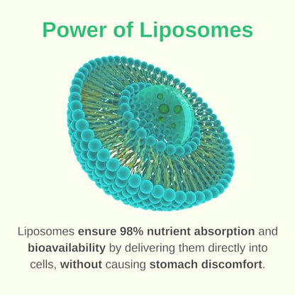 Prenatal + Postnatal liposomal Liquid Drops with Iron | 30 Day Supply | 3 FL Oz | Non-GMO