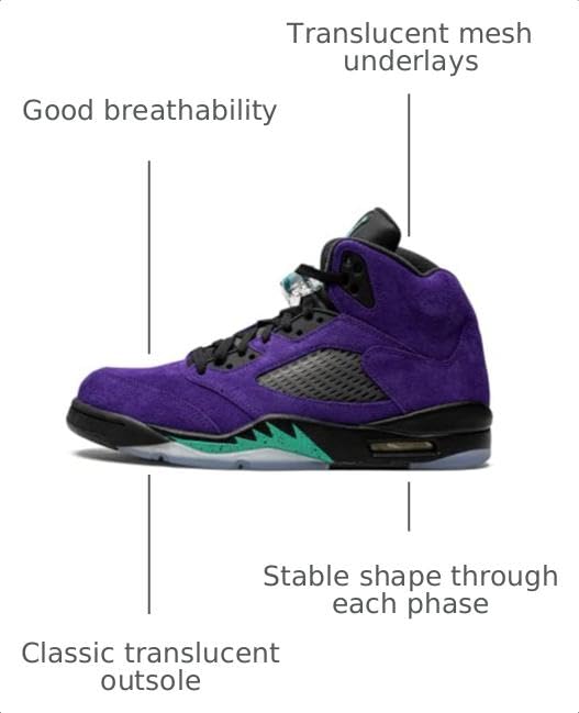Jordan Mens Air Jordan 5 Retro 136027 500 Alternate Grape - Size 8