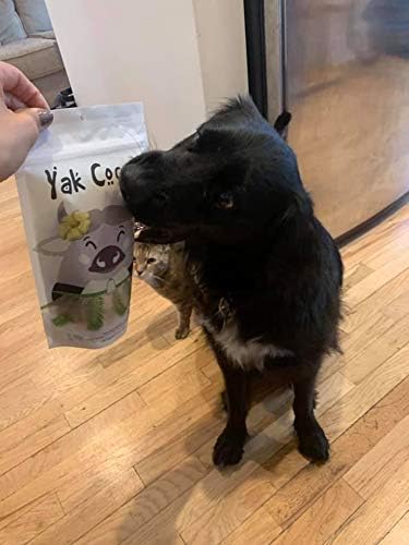 Yak Coco 4oz Functional Dog Treat - Active Coconut Supports Dog Skin and Coat