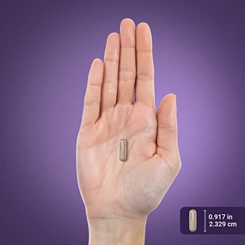 Piping Rock Detox Cleanse Capsules | 240 Pills | Herbal Complex | Lean Formula