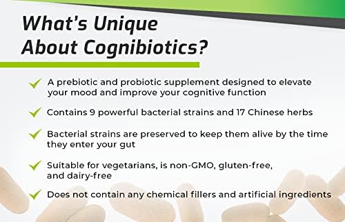 BIOptimizers The Ultimate Gut Health Stack - Chocolate, Promotes and Levels Gut Health