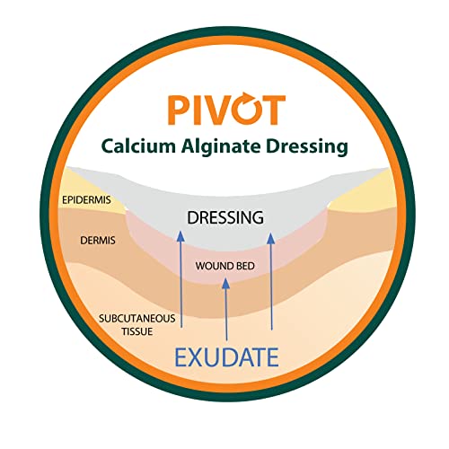 Pivot Calcium Alginate Wound Dressing – All-Natural First Aid | 4x5 Dressin