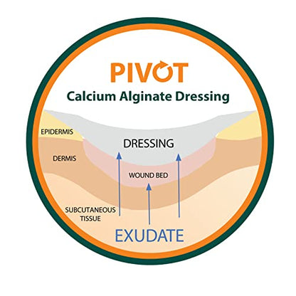 Pivot Calcium Alginate Wound Dressing – All-Natural First Aid | 4x5 Dressin