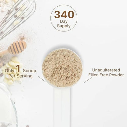 Organic Mushroom Powder Supplement, 12oz – 10 in 1 Active Blend – Turkey Tail, Lions Mane