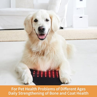SUNNYOUNG Red Light Therapy Belt, Infrared Light Therapy Wrap Muscle Relaxing Belt with 120 LED Lights