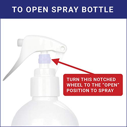 CleanSmart CPAP Disinfectant Spray, 16 oz (Pack of 2)