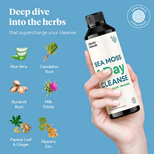 Sea Moss 1 Day Cleanse - Full Body Detox to support bowel movements, Kidney Health