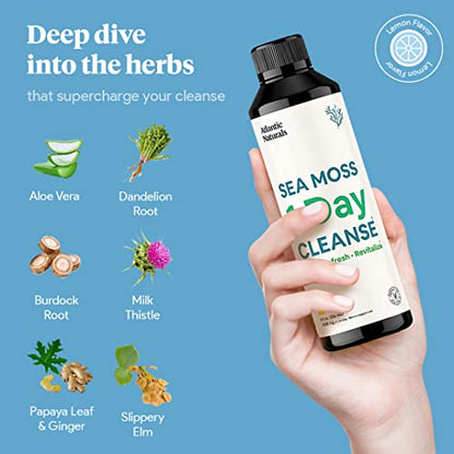 Sea Moss 1 Day Cleanse - Full Body Detox to support bowel movements, Kidney Health