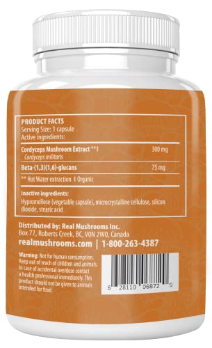 Real Mushrooms Cordyceps Pet Support Mushroom Supplement (120ct) Cat & Dog
