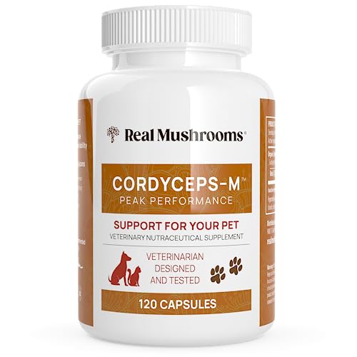 Real Mushrooms Cordyceps Pet Support Mushroom Supplement (120ct) Cat & Dog 
