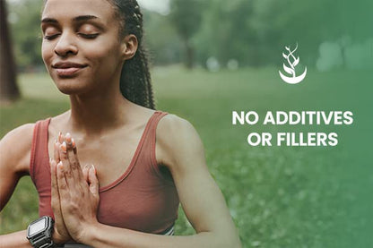PURE ORIGINAL INGREDIENTS Yerba Mate (365 Capsules), No Magnesium Or Rice Fillers