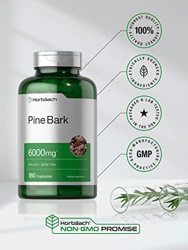 Pine Bark Extract | 6000 mg | 180 Capsules | Standardized to Contain 380 mg Proanthocyan