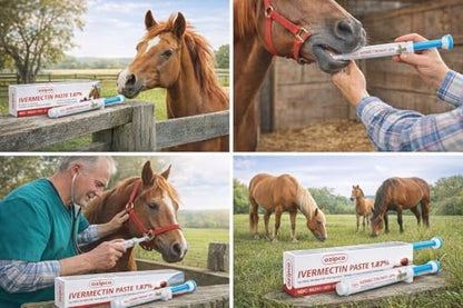 Ivermectin Horse Paste 1.87% | Apple Flavor – 6.08g Syringe for Equine Use Only Up to 1250 LB