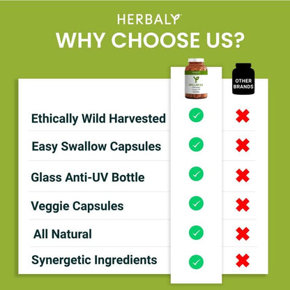 HERBALY Wellness Wildcrafted Oregano Oil Capsules Yellow/Gold