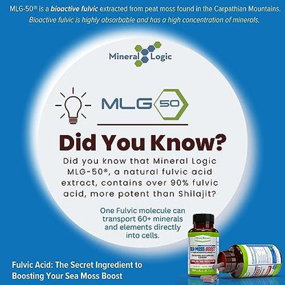 Power By Naturals Sea Moss Advanced with Black Seed Oil & Elderberry Capsules