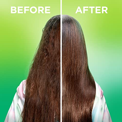 Garnier Fructis Sleek & Shine Leave-In Conditioning Cream for Frizzy, Dry Hair, Plant