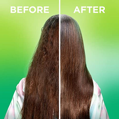 Garnier Fructis Sleek & Shine Leave-In Conditioning Cream for Frizzy, Dry Hair, Plant