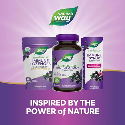 Nature's Way Sambucus Elderberry Immune Gummies, Daily Immune Support