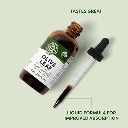 Vimergy Olive Leaf – Supports Immune Health* 57 2mL (2 Droppers or 58 Drops) Servings (200mg Extract Per Serving) – USDA Certified Organic, Vegan, Paleo-Friendly and Gluten-Free – 115 mL