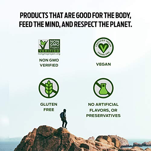 Vega Protein Made Simple, Dark Chocolate - Stevia Free Vegan Protein Powder