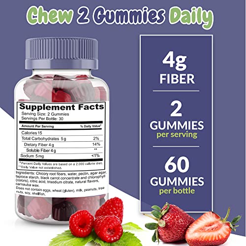Fiber Prebiotic Gummies Sugar Free, Keto Friendly 2 Pack | Gut Cleansing, Digestive Health