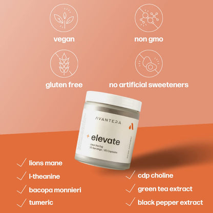 Avantera Premium Nootropic, Elevate | Energy, Focus, Mood, & Gut Health | 30 Day Supply