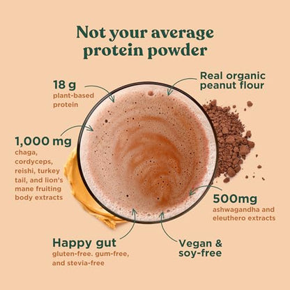 Four Sigmatic Organic Plant-Based Protein Powder Peanut Butter Protein with Lion’s Mane