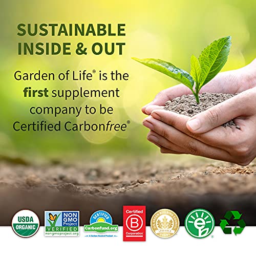 Garden of Life Raw Organic Fit Vegan Protein Powder Vanilla, 28g Plant Based Protein