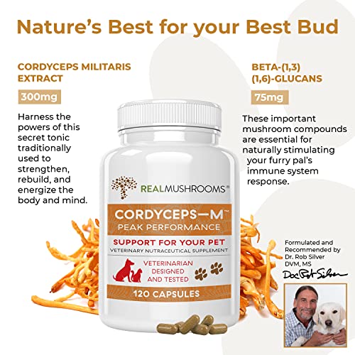 Real Mushrooms Cordyceps Pet Support Mushroom Supplement (120ct) Cat & Dog