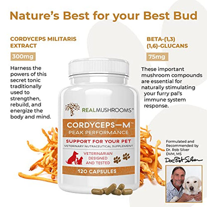Real Mushrooms Cordyceps Pet Support Mushroom Supplement (120ct) Cat & Dog