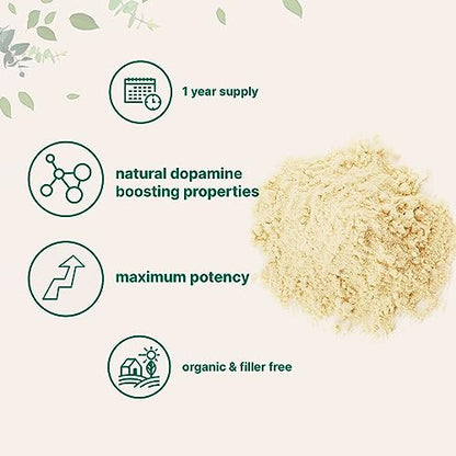 Micro Ingredients Organic Mucuna Pruriens Extract Powder,1 Pound (908 Servings)