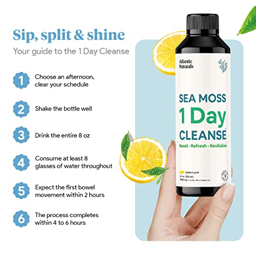 Sea Moss 1 Day Cleanse - Full Body Detox to support bowel movements, Kidney Health