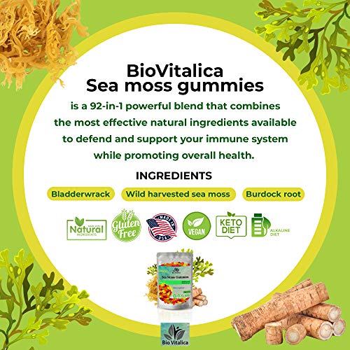 Sea Moss Gummies - Irish sea Moss raw Organic, Bladderwrack, Burdock Root