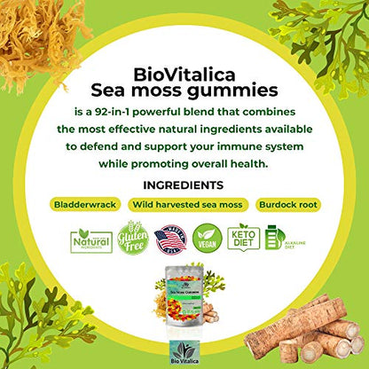 Sea Moss Gummies - Irish sea Moss raw Organic, Bladderwrack, Burdock Root