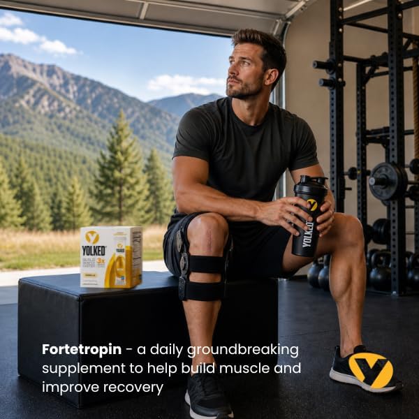 YOLKED Muscle Building Supplements for Men and Women - Powered by Fortetropin to Reduce Myostatin and Build Muscle - NSF Certified Protein Powder Enhancer - 30 Servings