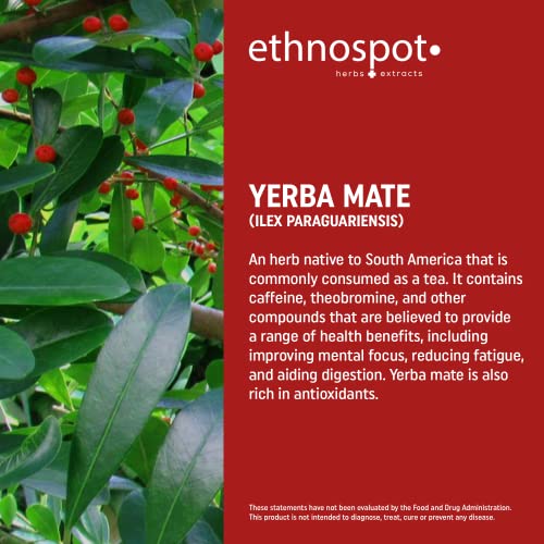 Full Spectrum Yerba Mate Capsules - Boosts Energy & Mental Focus - Supports Health