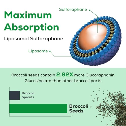 Osasuna Liposomal Sulforaphane 450MG, Maximum Absorption, 240 Softge