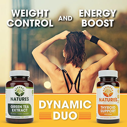 Green Tea Extract 98% Standardized with EGCG | Healthy Weight Support, Metabolism