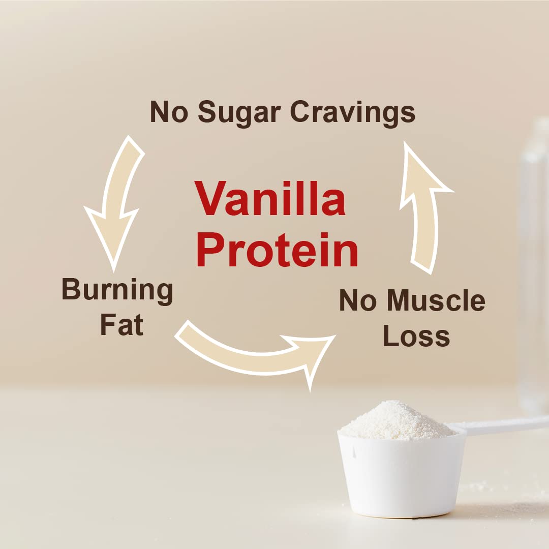 Reduce Abdominal Fat - Protein to Stop Food Cravings (for Kids and Adults)
