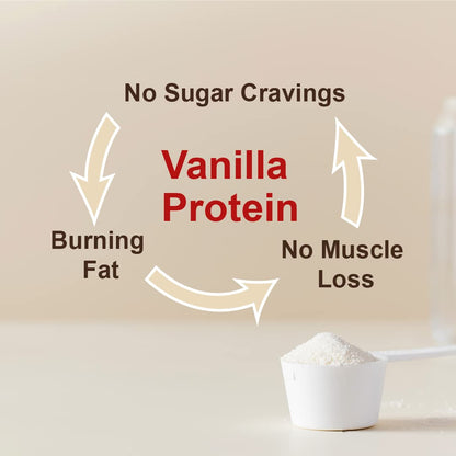 Reduce Abdominal Fat - Protein to Stop Food Cravings (for Kids and Adults)