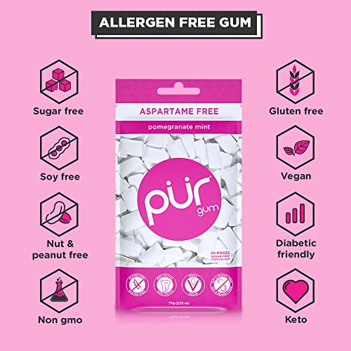 PUR Gum | Aspartame Free Chewing Gum | 100% Xylitol | Natural Pomegranate